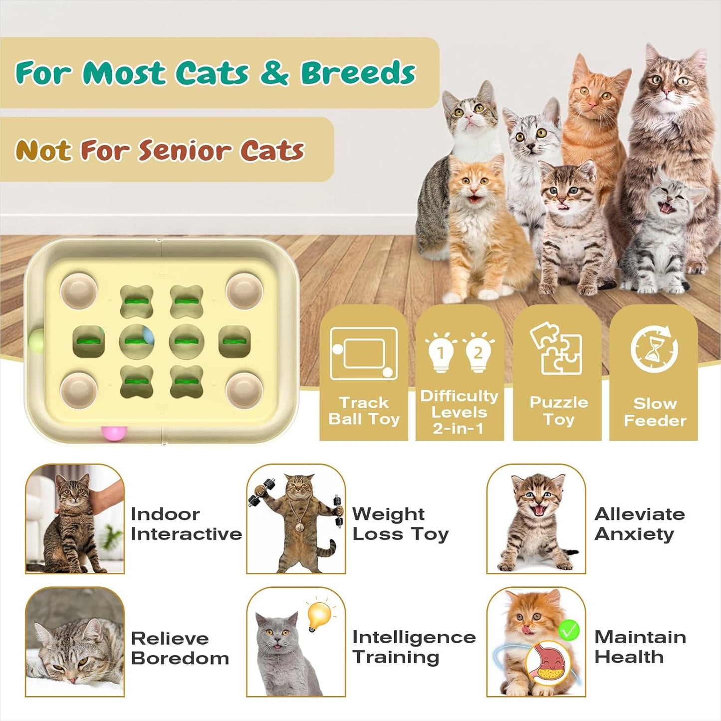 Cat Treat Puzzle Fun Box