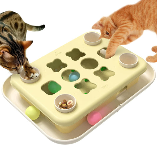 Cat Treat Puzzle Fun Box
