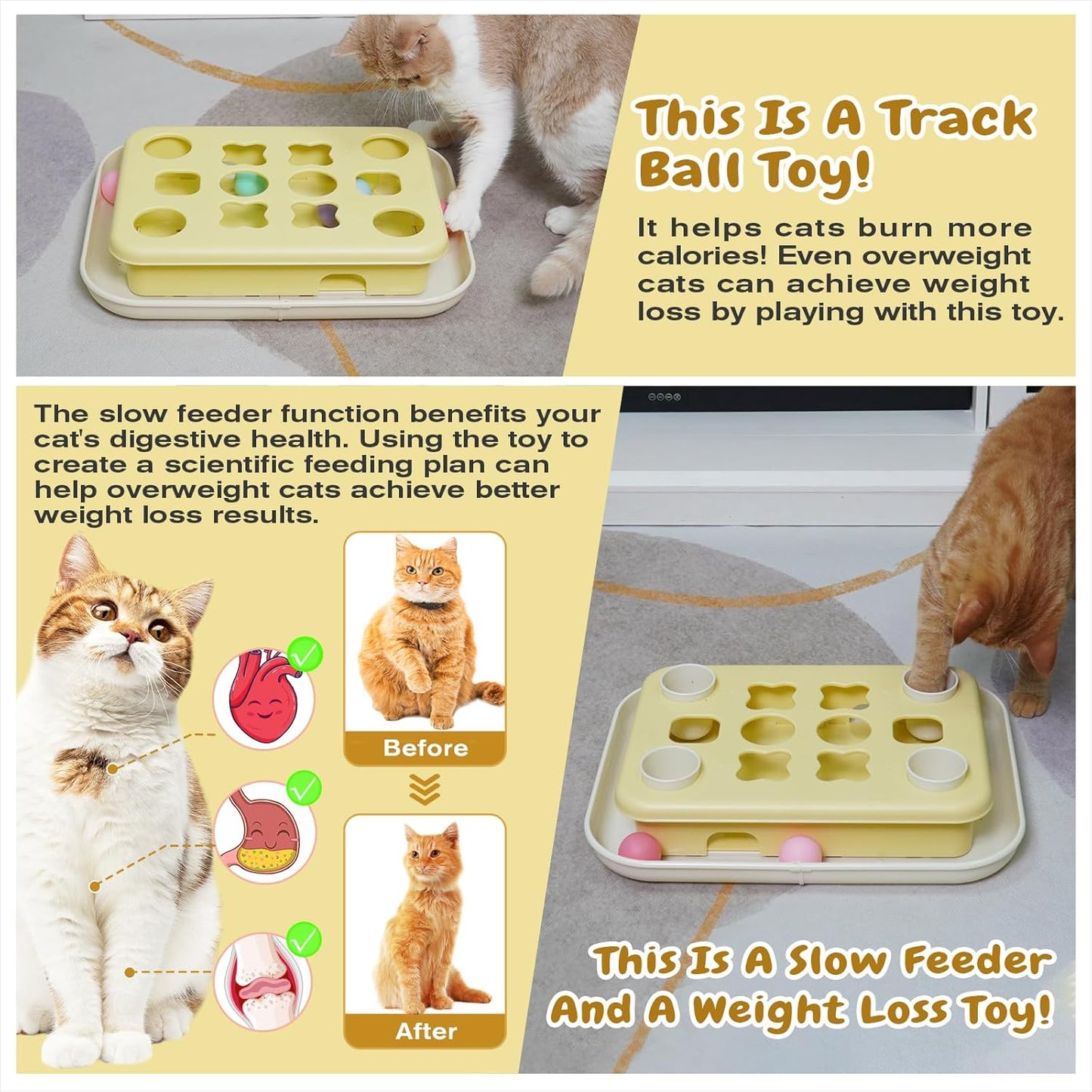 Cat Treat Puzzle Fun Box
