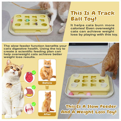 Cat Treat Puzzle Fun Box